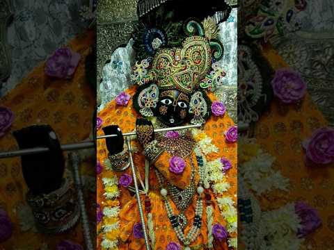 🙇बोलो वृंदावन श्री बांकेबिहारी लाल की जय #virdavan #treandingshort #ytshaorts