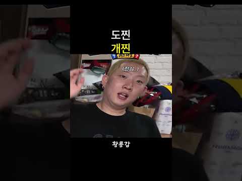 도찐개찐