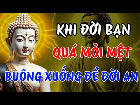 Phật Dạy: Khi Cuộc Đời Trở Nên Mù Mịt – Đây Là Cách Để Bạn Tìm Lại Ánh Sáng Trong Tâm