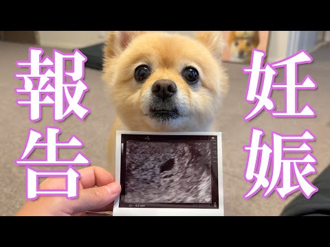 【ご報告】新しい命を授かりました!