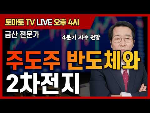 주도주 반도체와 2차전지  [토마토 증권통 live] ★금산 전문가★