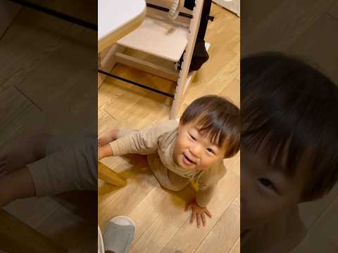 「ごちそうさまでした」の急成長がすごい!【1歳8ヶ月】