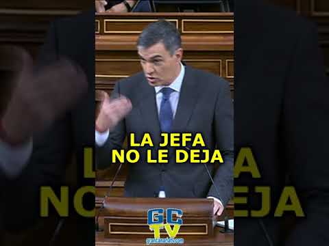 LA JEFA NO LE DEJA Sánchez a Feijóo #pp #psoe #vox #sumar #podemos