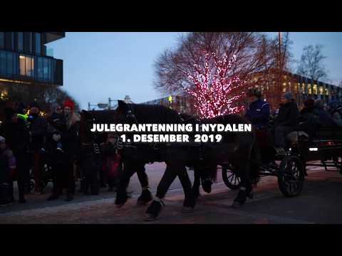 Julegrantenning i Nydalen 2019