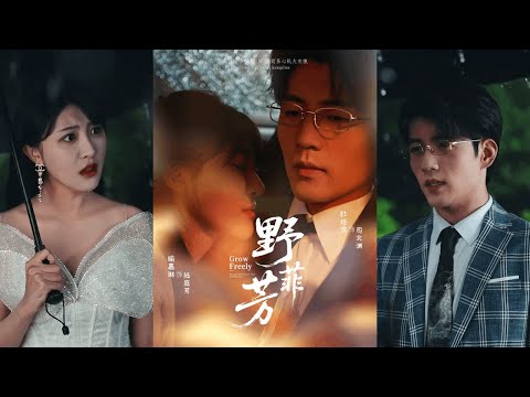 🔥🔥【完整版】杜培源&喻嘉琳《野芳菲》万年冰山霸总✖一腔热血小太阳，在相互试探中找到势均力敌的爱情，救赎姐妹也成全自己！