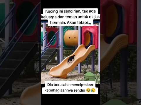 kucing yg kesepian🥺#cat #kucing #shorts