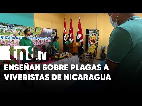 Viveristas de Nicaragua participan en simposio de enfermedades y plagas