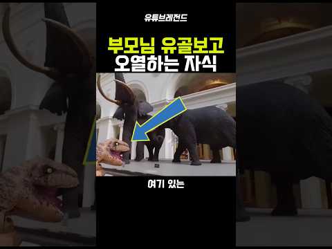 부모님 유골보고 오열하는 자식ㅠㅜ #유머