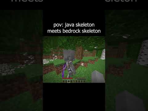 pov: java skeleton meets bedrock skeleton