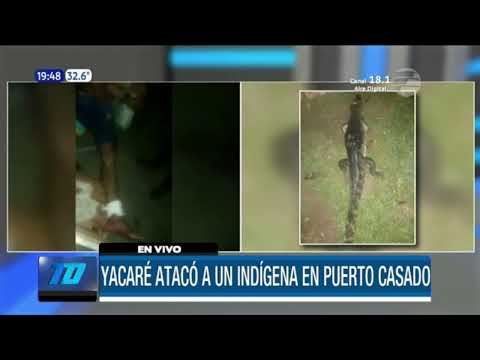 Un yacaré atacó a un indígena en Puerto Casado, Alto Paraguay