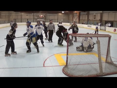 Roller Hockey Fights
