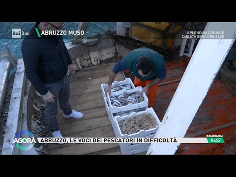 Pescatori sul lastrico - Agorà 07/03/2024