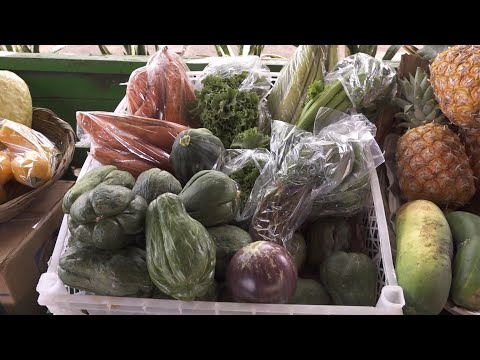 Fruta y verduras frescas en el mercadito campesino del Parque de Ferias