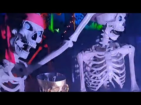 Terri's just doing her thing is live get your free halloween tour.