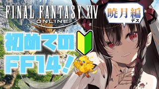 【FF14】パンデモの復習したら6.1進めたい！！！【鉄穴森叫子】