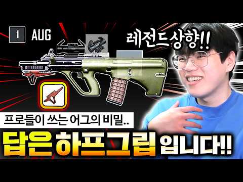 현 배그 프로,유저들이 난리난 AUG 버프 우리 베릴은요????????????