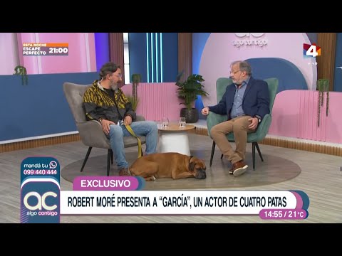 Algo Contigo - Robert Moré presenta a García, un actor de cuatro patas
