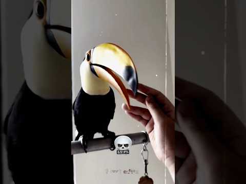 creepiest sound bird 💀 #edit #shorts