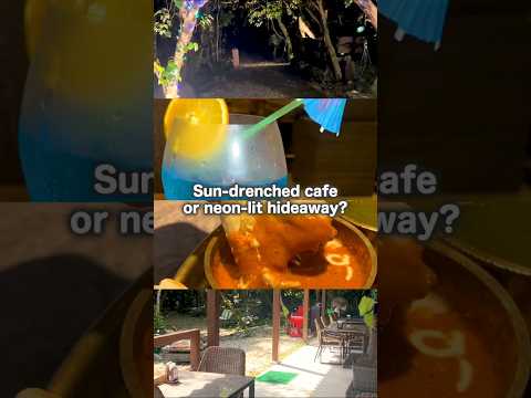 🌴 Romantic Forest Café in Okinawa: Cafe The Palm | Curry, Naan & Biryani 🍛✨