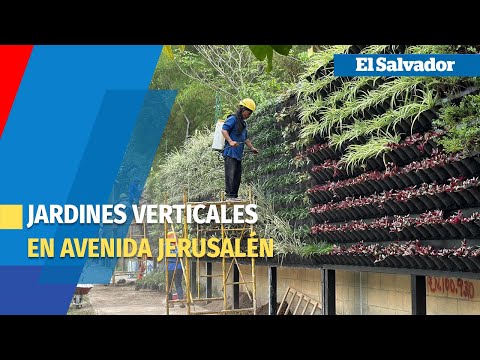 Instalan jardines verticales en la avenida Jerusalén en San Salvador
