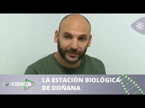 ConCiencia | Las colecciones científicas de la Estación Biológica de Doñana