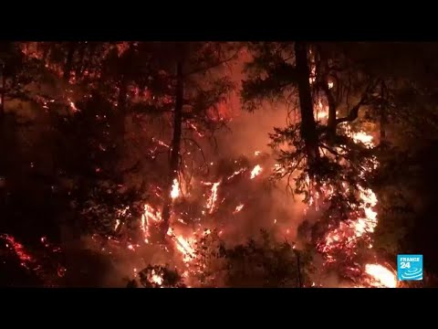 La côte ouest des Etats-Unis ravagée par l'incendie Dixie • FRANCE 24