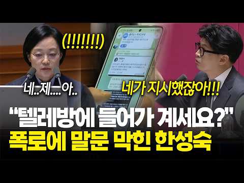 "텔레그램 방에 들어가 계세요?", 한동훈 돌직구에 한성숙 '당황' / 대정부질문 - 외교·통일·안보 분야
