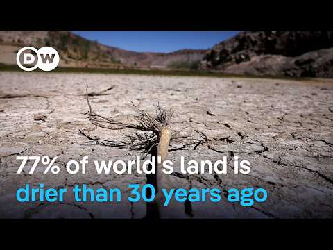 Desertification drives Kenyan herdsmen to camels | DW News