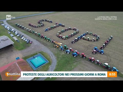 Continuano le proteste degli agricoltori - Unomattina - 05/02/2024