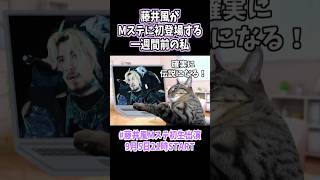 藤井風がMステに初登場する一週間前の私ww#藤井風  #music  #shorts   #猫ミーム   #song