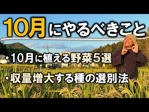 【家庭菜園/自然農法】10月にやるべきこと