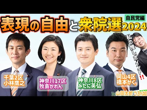 【第599.5回】表現の自由と衆院選2024《自民党編》(2024/10/16) #山田太郎のさんちゃんねる