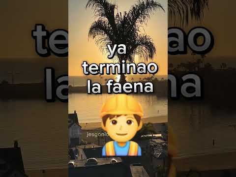 Ya llegó el find#facyl #drift #carrera #rally #slalom #risas #broma #chiste #llamada #risas #verano