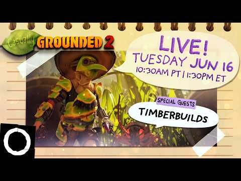 Casually Grounded 2 w/ TimberBuilds
