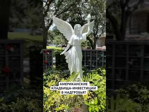 Инвестиции в похороны? #shortvideo #вау #жизньвсша #жизньвамерике #america #сша #обзор #short #news