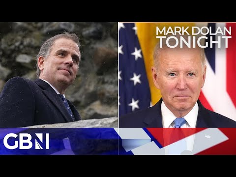 Hunter Biden 'likeliness to go on trial' will be 'catastrophic' for Joe Biden's re-election campaign
