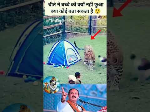 इसीलिए बच्चे भगवान का रूप होते हैं ❣️#shorts