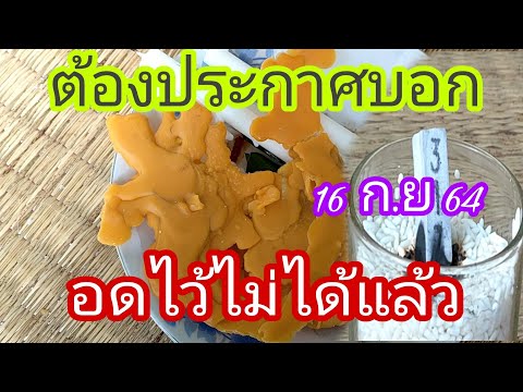 อดไว้ไม่ได้แล้ว-ต้องประกาศคลิป อดไว้ไม่ได้แล้ว-ต้องประกาศคลิป