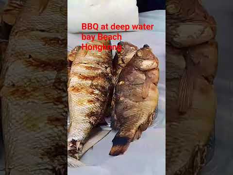 BBQ at Deep water bay Beach Hongkong #guitar #beach #cover #beachsongs  #beachculture  #sandsbeach