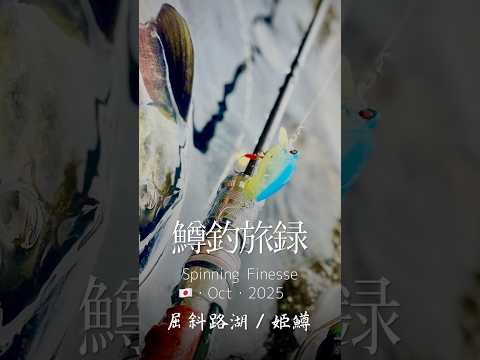#鱒釣旅録 youtubechannel 🎥🎣 北海道🐟ヒメマス釣行 #troutfishing スピニング・フィネス(Spinning Finess)🇯🇵・Oct・2025#屈斜路湖