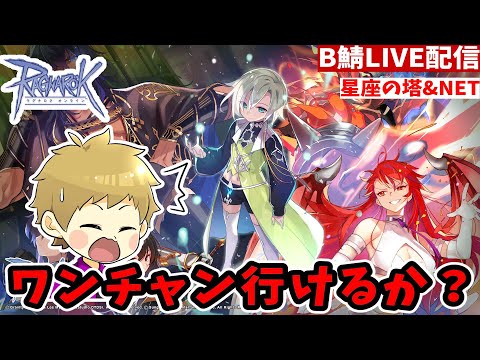 【RO】星座の塔でメテオライトが欲しいと願う初心者【ラグナロクオンライン】