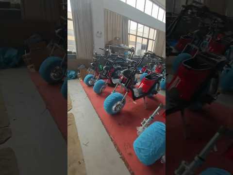 Citycoco wholesale #citycoco #linkseride #electricscooter #escooter #fattirescootereurope