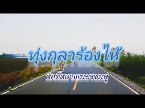 ทุ่งกุลาร้องไห้อนุรักษ์เพลงเก