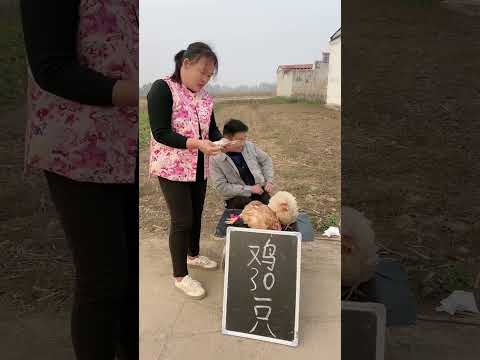 #funny #lifeisbutadream #comedyfilms #whowillbemylifepartnerta #comedymovies #comedy #animals