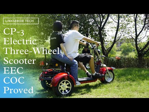 CP 3 Electric Scooter Citycoco Super 3 wheels Scooter EEC COC 25km/h or 45km/h