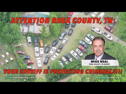 Rhea County, TN Cockfighting Corruption