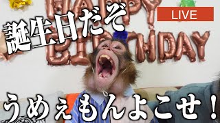 動画サムネイル