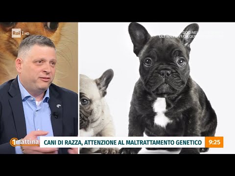 Cani mutanti - Unomattina - 07/03/2024