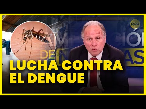 Lucha contra el Dengue: ¿se está trabajando bien en el Gobierno?