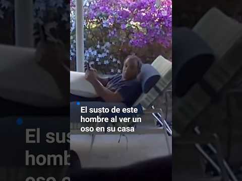 El susto de su vida se llevó este hombre cuando se encontró de frente a un oso negro